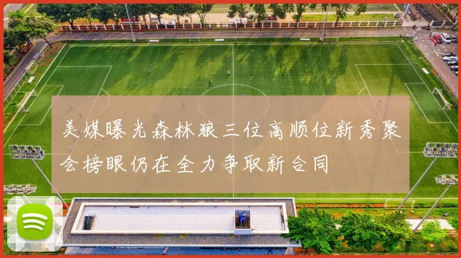 美媒曝光森林狼三位高顺位新秀聚会榜眼仍在全力争取新合同