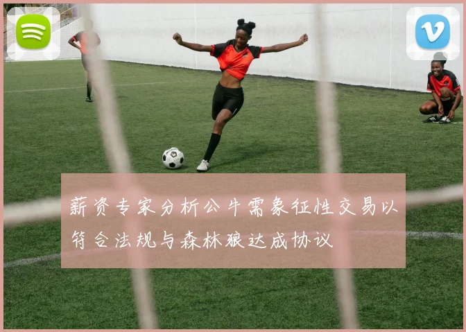 薪资专家分析公牛需象征性交易以符合法规与森林狼达成协议