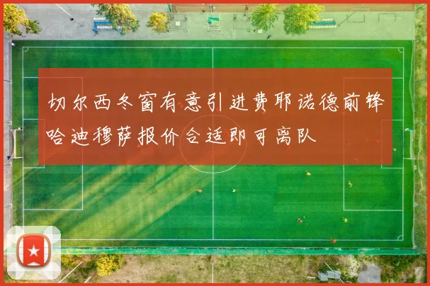 切尔西冬窗有意引进费耶诺德前锋哈迪穆萨报价合适即可离队