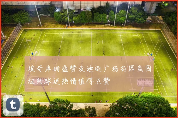 埃奇库姆盛赞麦迪逊广场花园氛围纽约球迷热情值得点赞