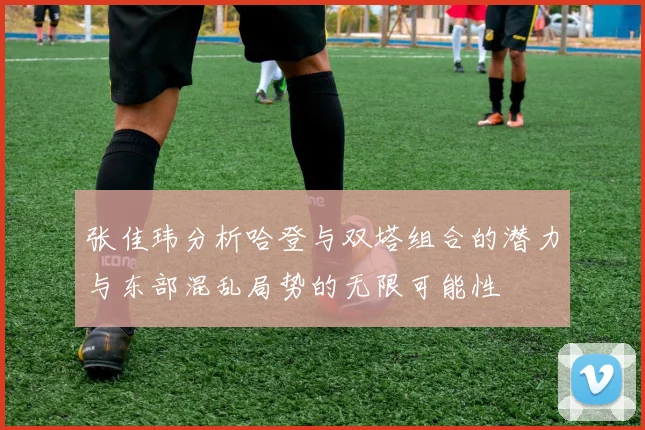 张佳玮分析哈登与双塔组合的潜力与东部混乱局势的无限可能性
